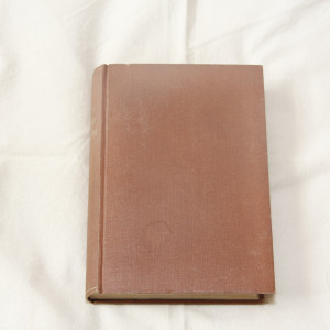 Runar Schildt Hemkomsten